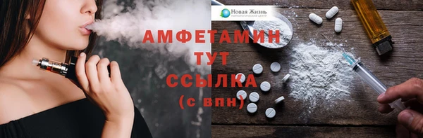 ALPHA PVP Няндома