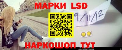 spice Новодвинск