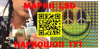 spice Новодвинск