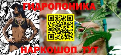 spice Новодвинск