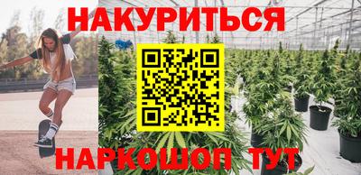 spice Новодвинск