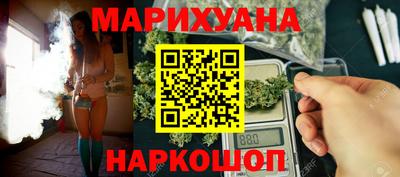 spice Новодвинск