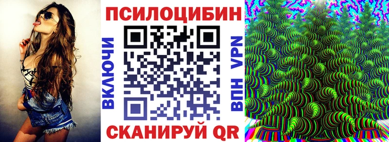 KRAKEN ССЫЛКА  даркнет сайт  Сальск  сайты даркнета как зайти  Псилоцибиновые грибы мицелий 