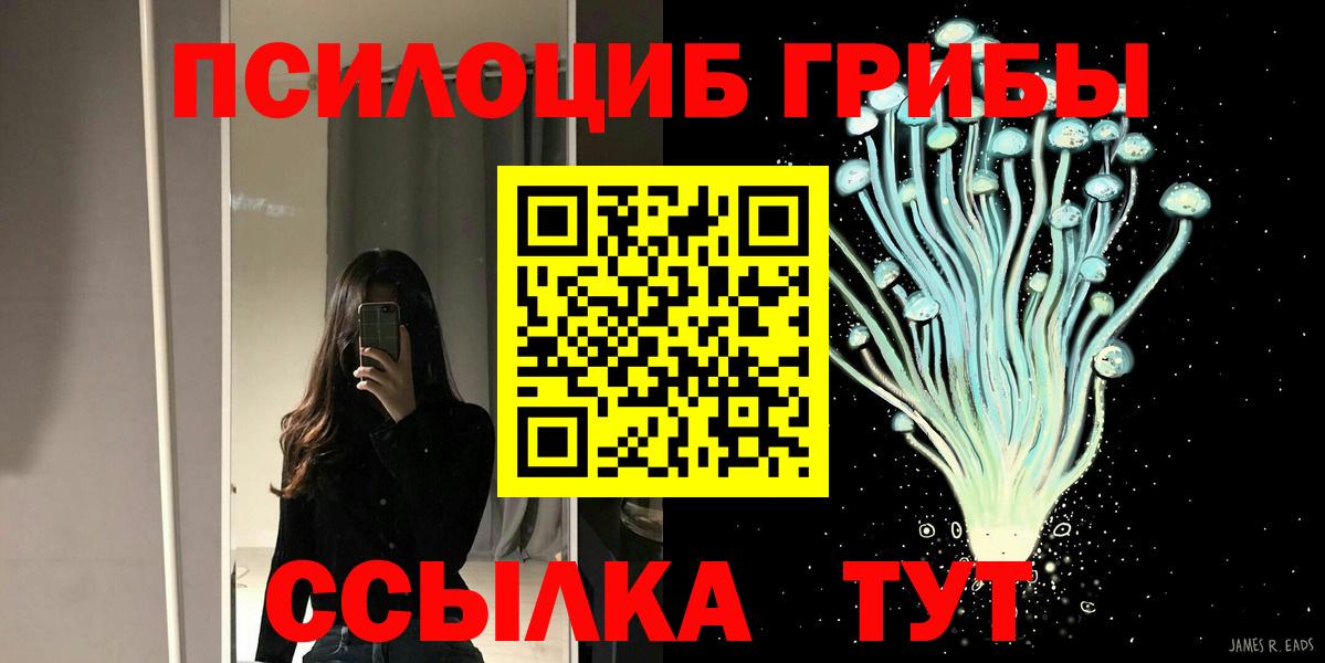 Псилоцибиновые грибы Magic Shrooms  Вход с VPN  Сальск 