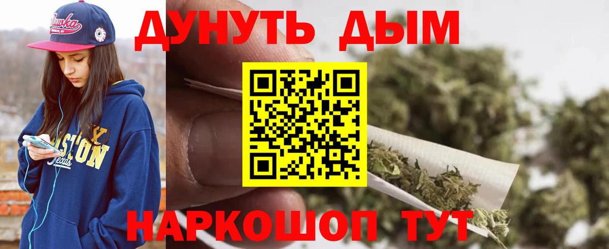 Каннабис конопля Сальск